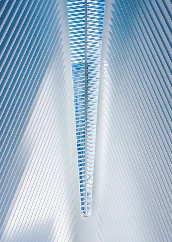 A view from within the Oculus Pavilion, showing the intricate steel rib structure.